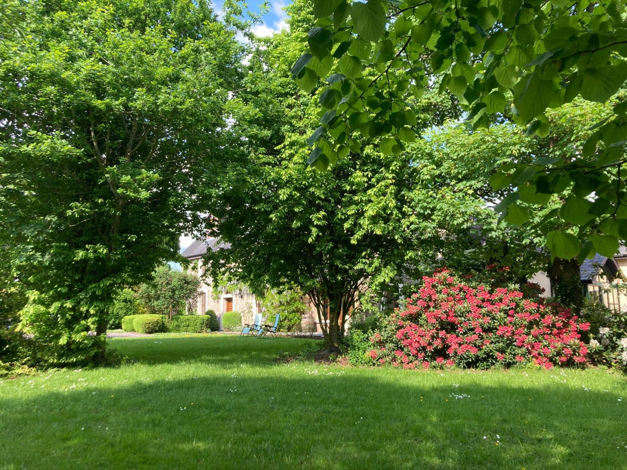 Grove House Country Rooms Shanballymore Zewnętrze zdjęcie