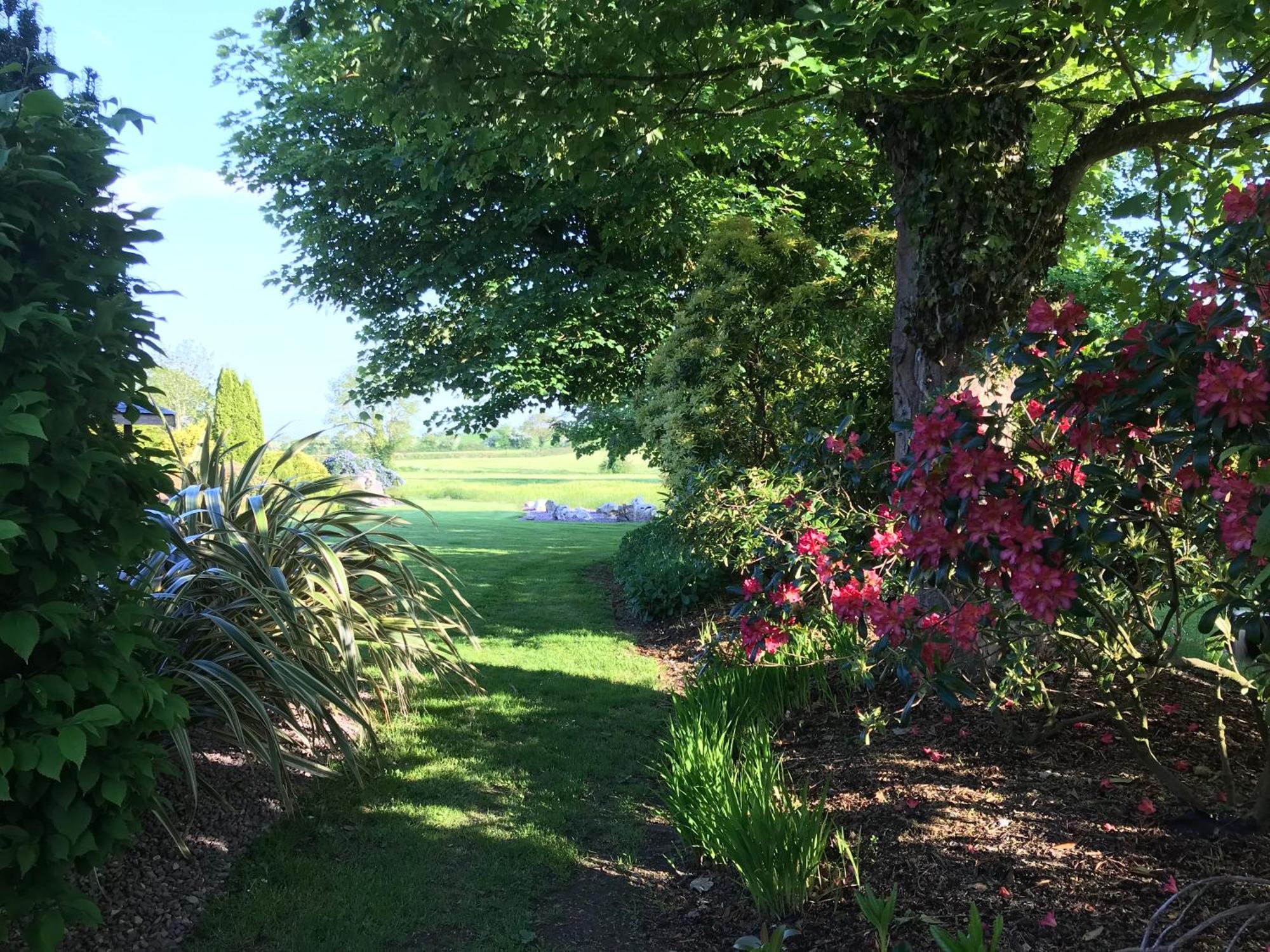 Grove House Country Rooms Shanballymore Zewnętrze zdjęcie